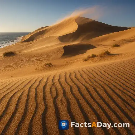 Las dunas de arena son esculturas gigantes de viento en movimiento