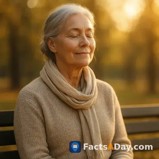 Aging improves emotional regulation skills