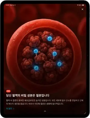 매일 지식