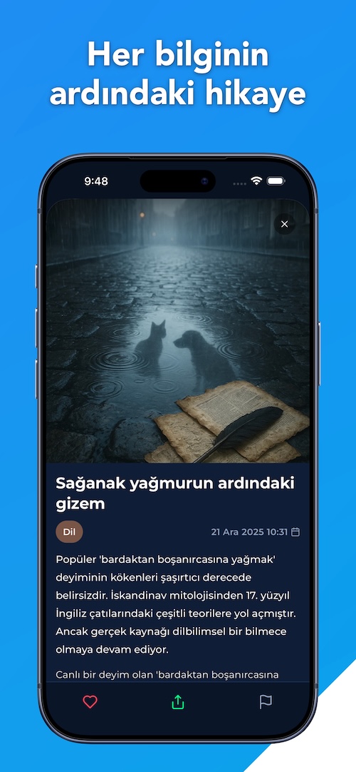 Bilgi detay görünümü