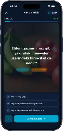 Günlük Bilgi
